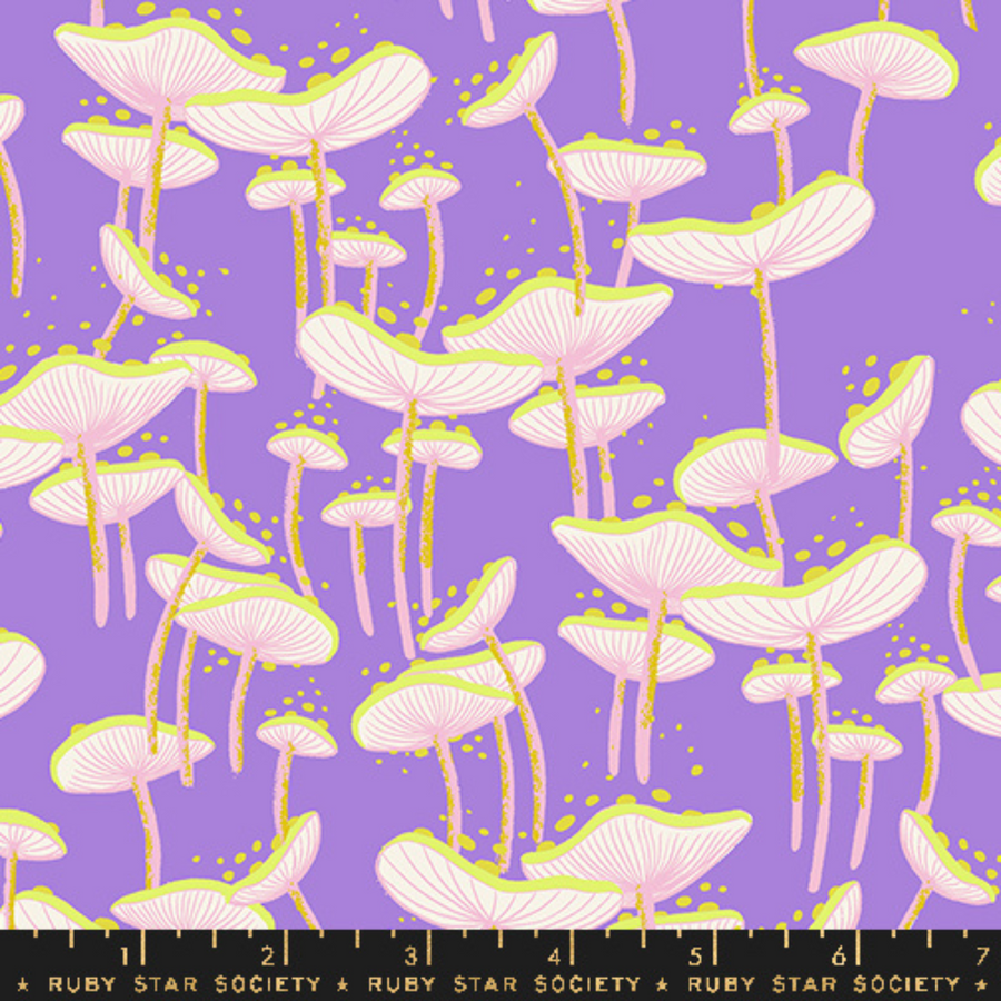 Fungi Amethyst