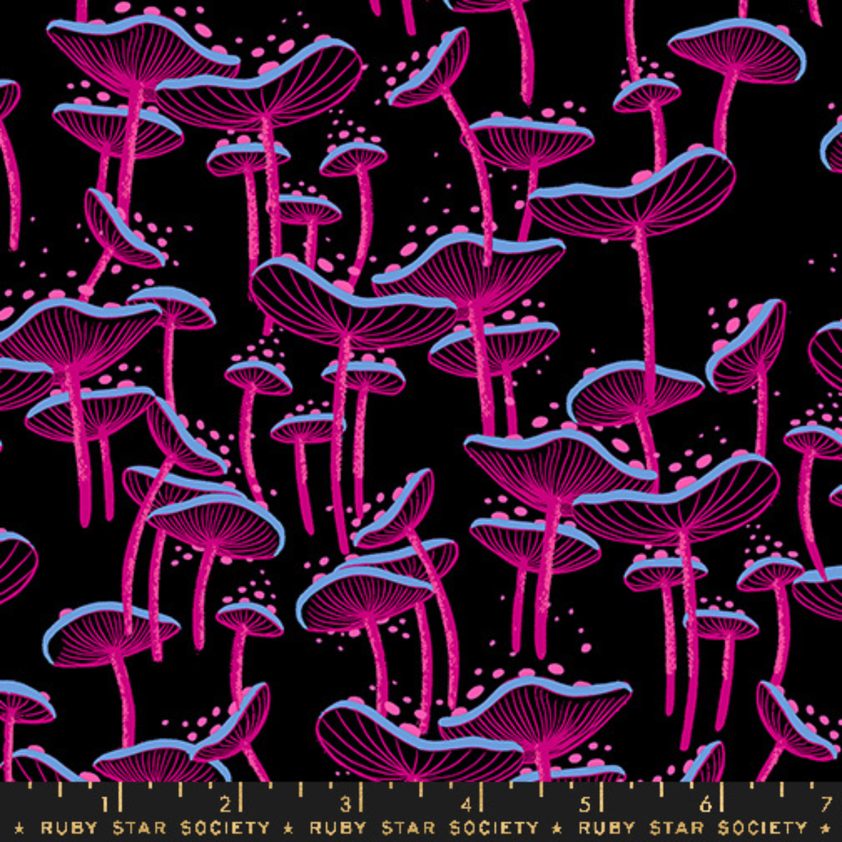 Fungi Black