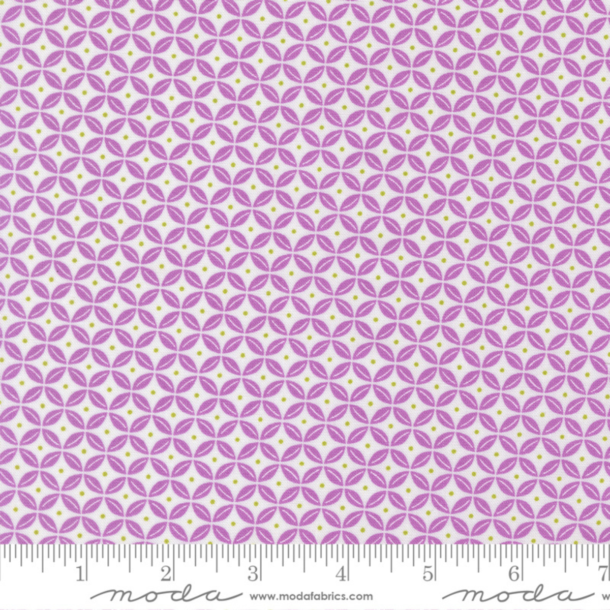 Citrus Peels - Lilac