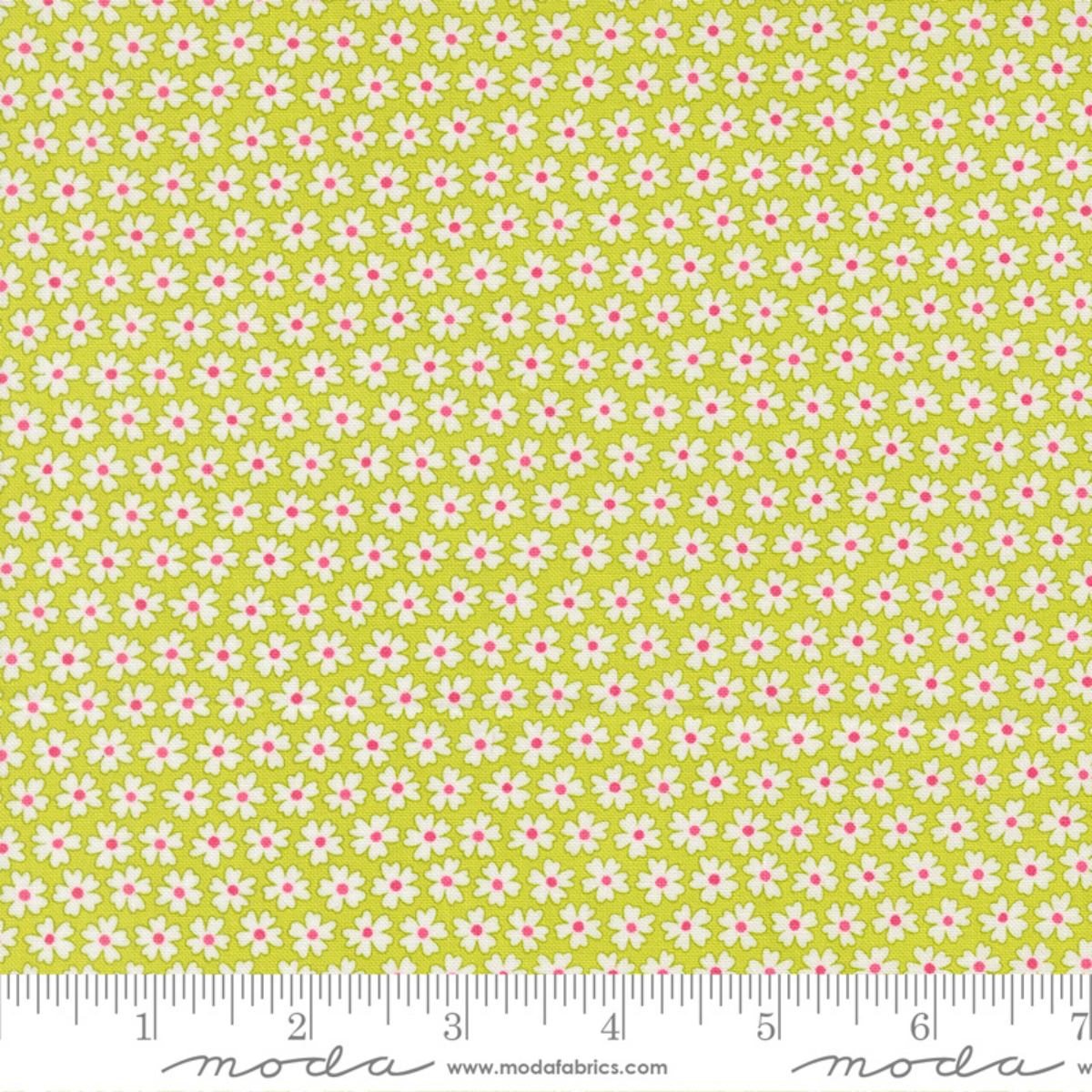 Pocket of Posies - Lime