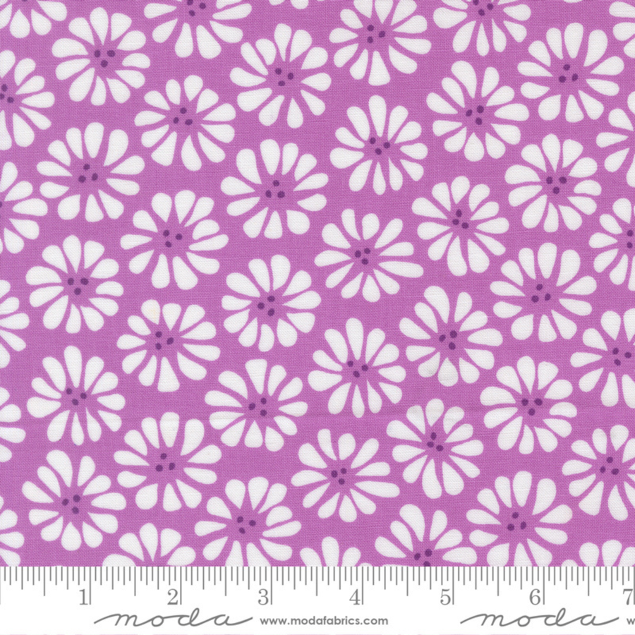 Lazy Daisy - Lilac