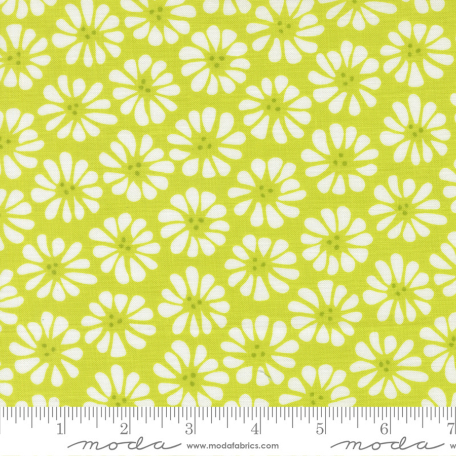 Lazy Daisy - Lime