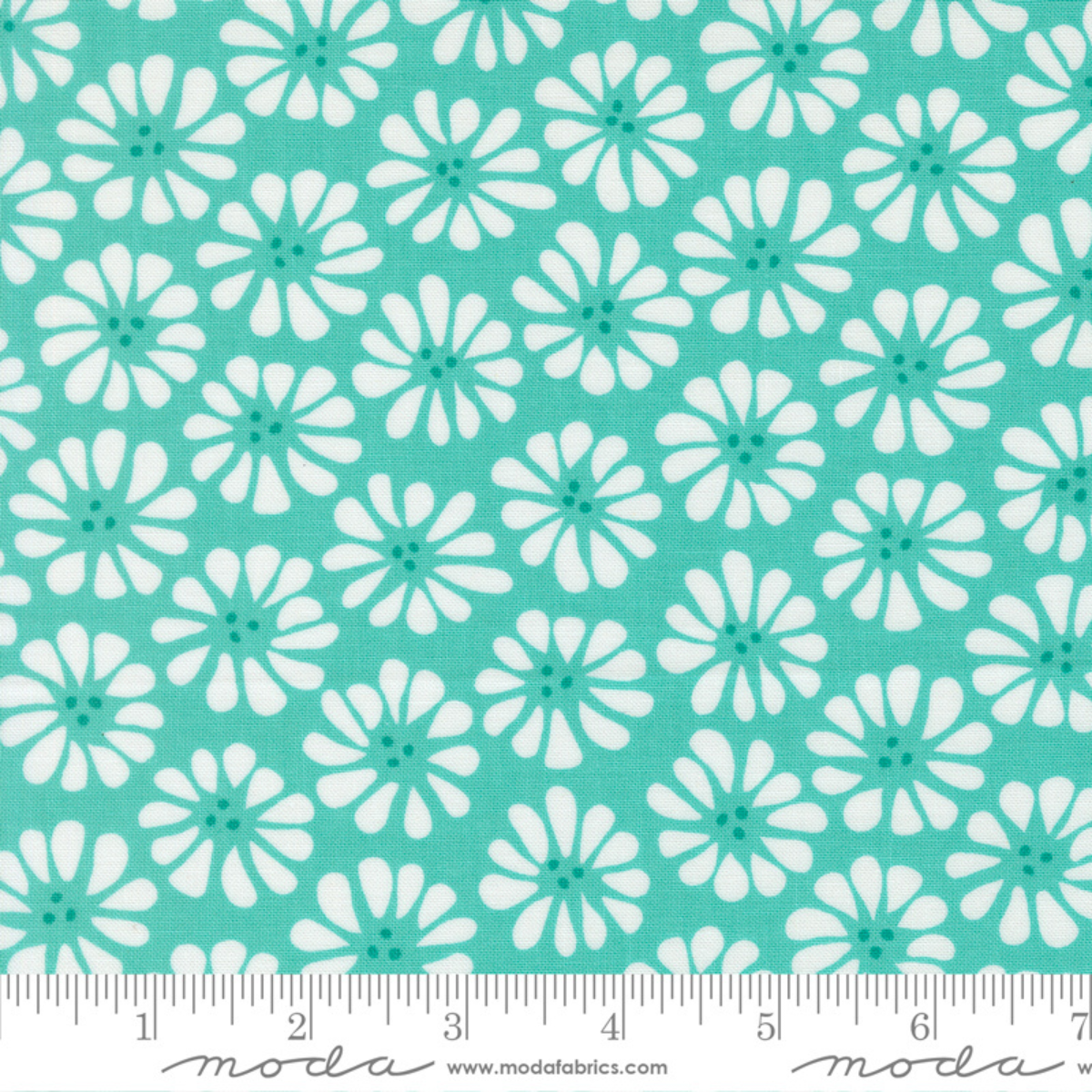 Lazy Daisy - Aqua