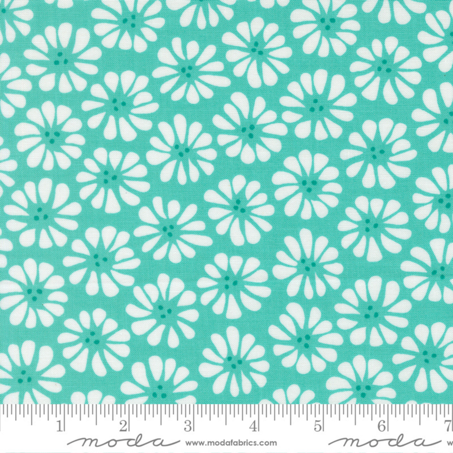 Lazy Daisy - Aqua