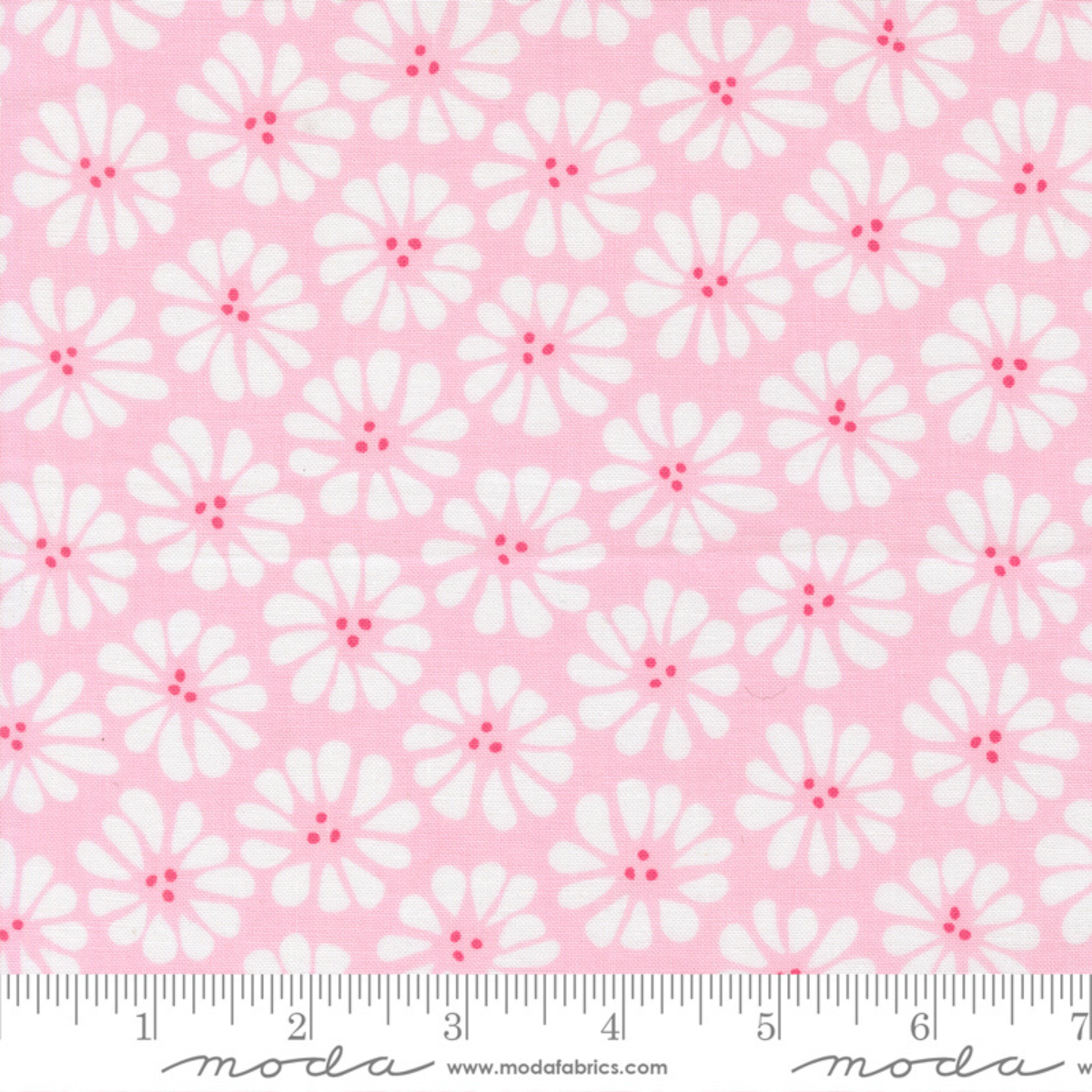 Lazy Daisy - Petal