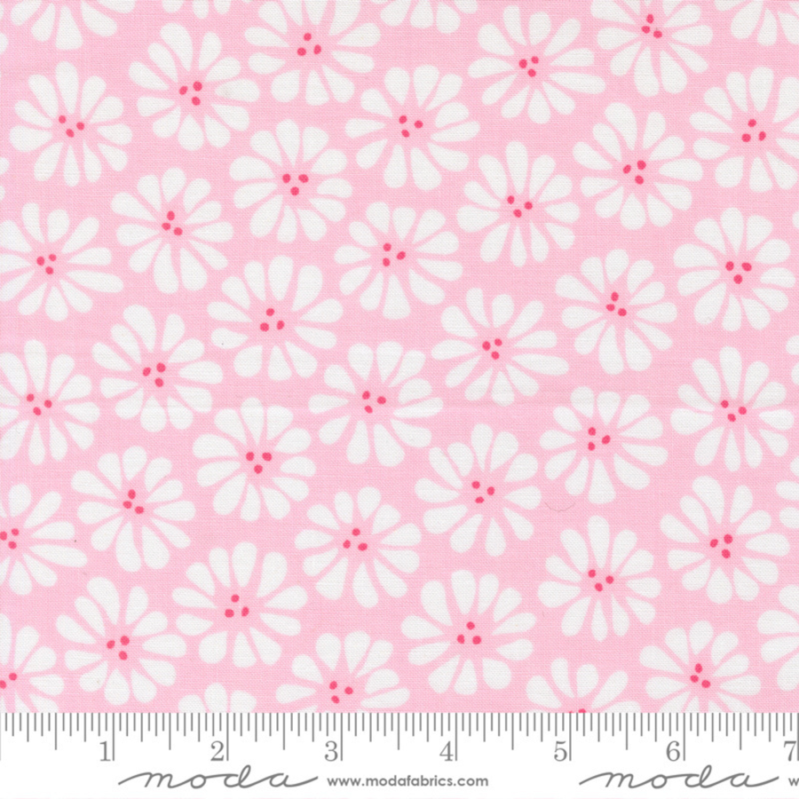 Lazy Daisy - Petal