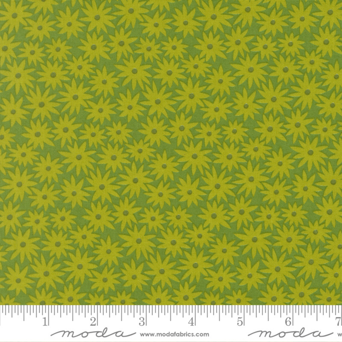Scenery - Sedum Limeade