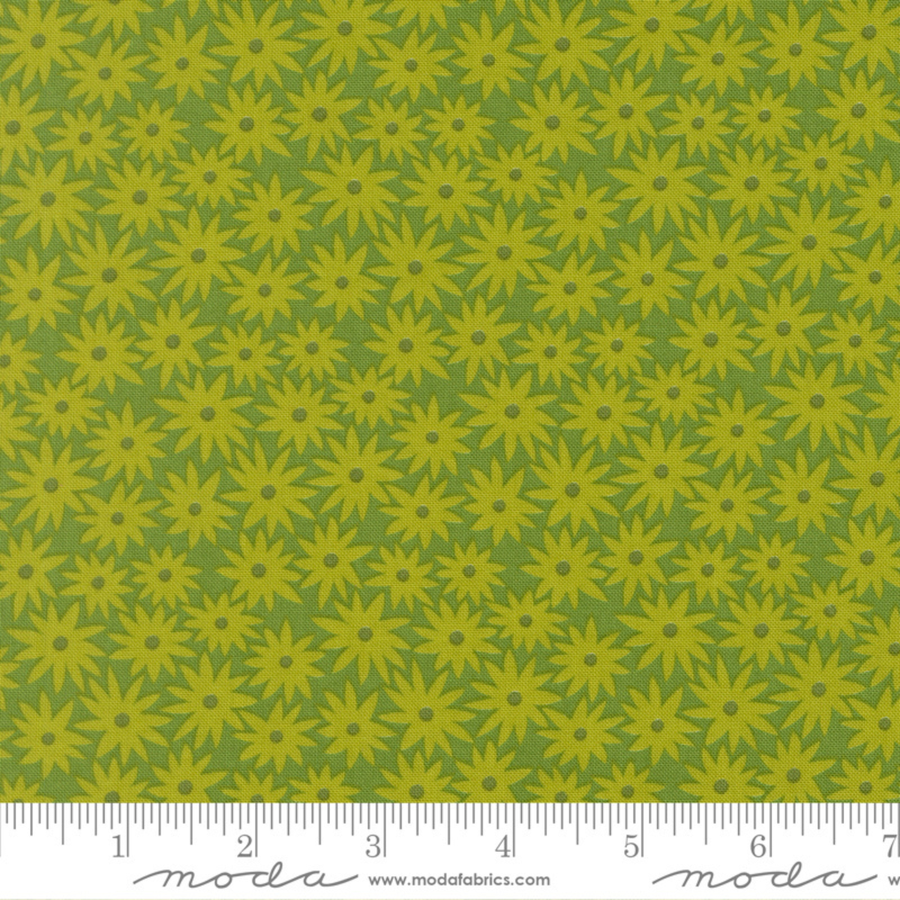 Scenery - Sedum Limeade