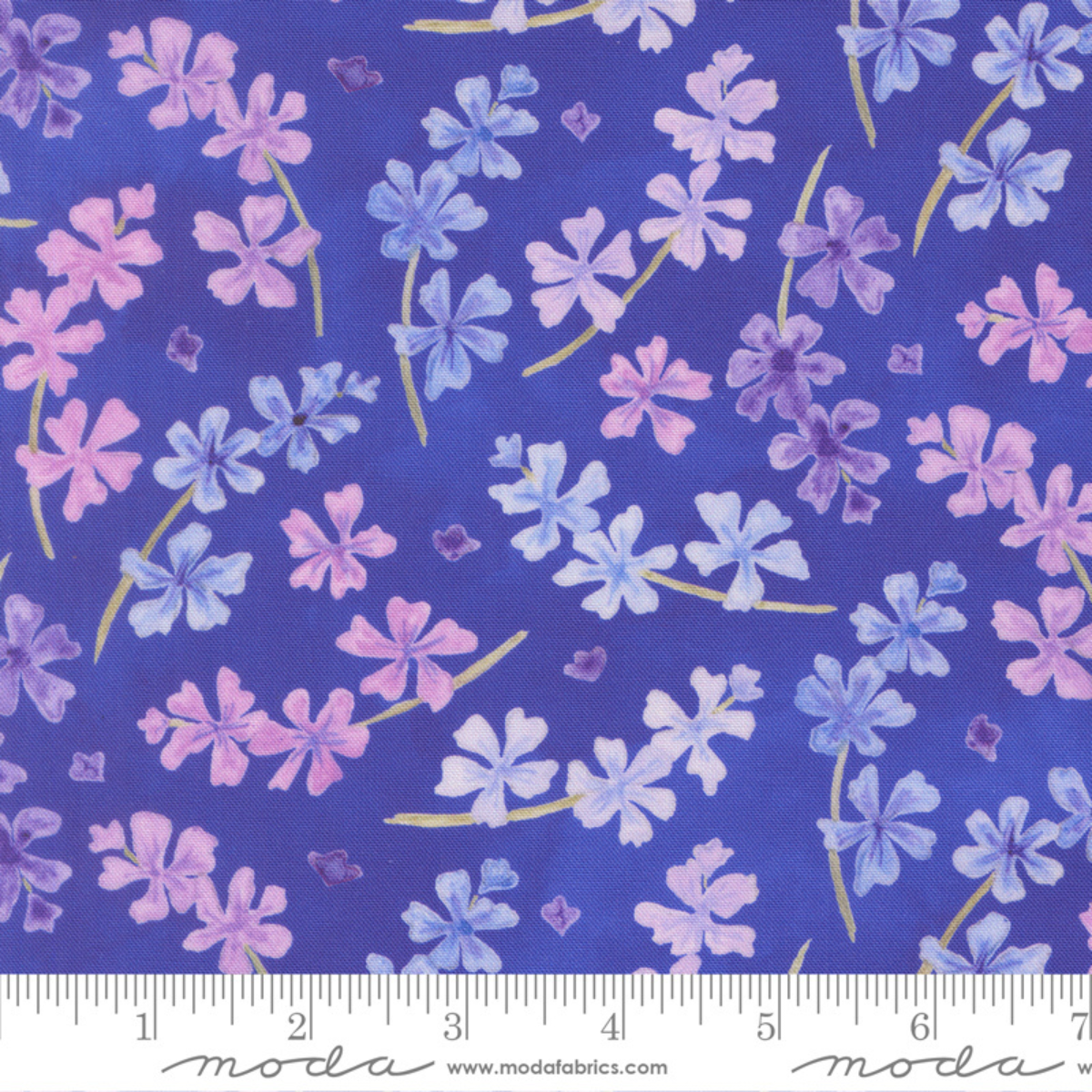 Delphinium Lilac Florals - Agapanthus