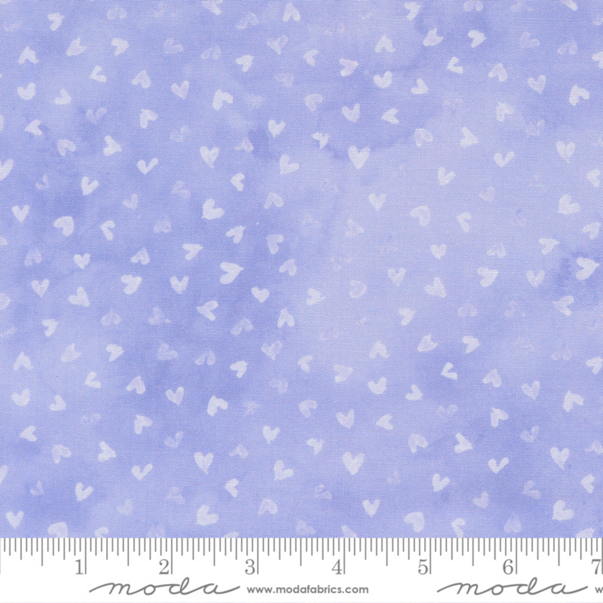 Delphinium Light Hearts - Lilac