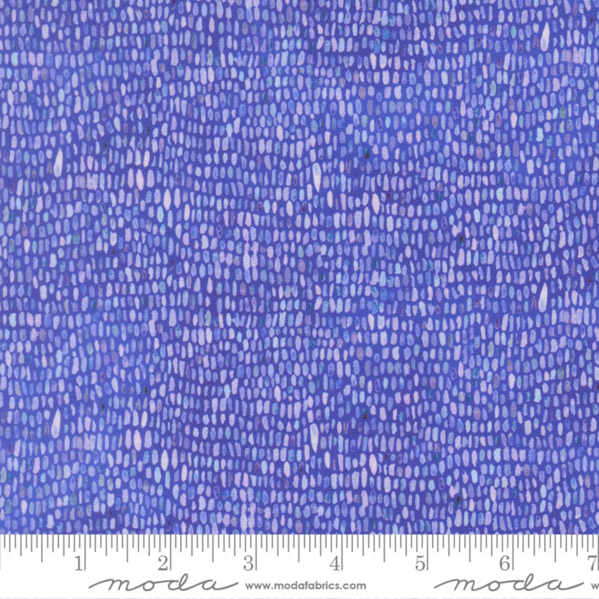 Delphinium Palette Blender - Agapanthus