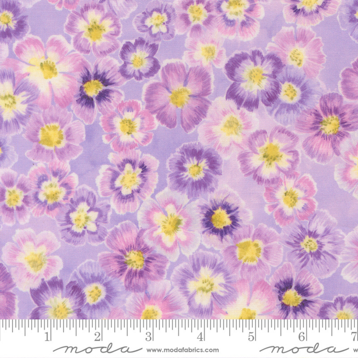 Delphinium Auricula Florals - Mauve