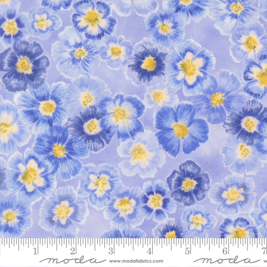 Delphinium Auricula Florals - Bluebell