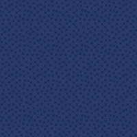 Crossroads - Black on Navy - 43cm Remnant